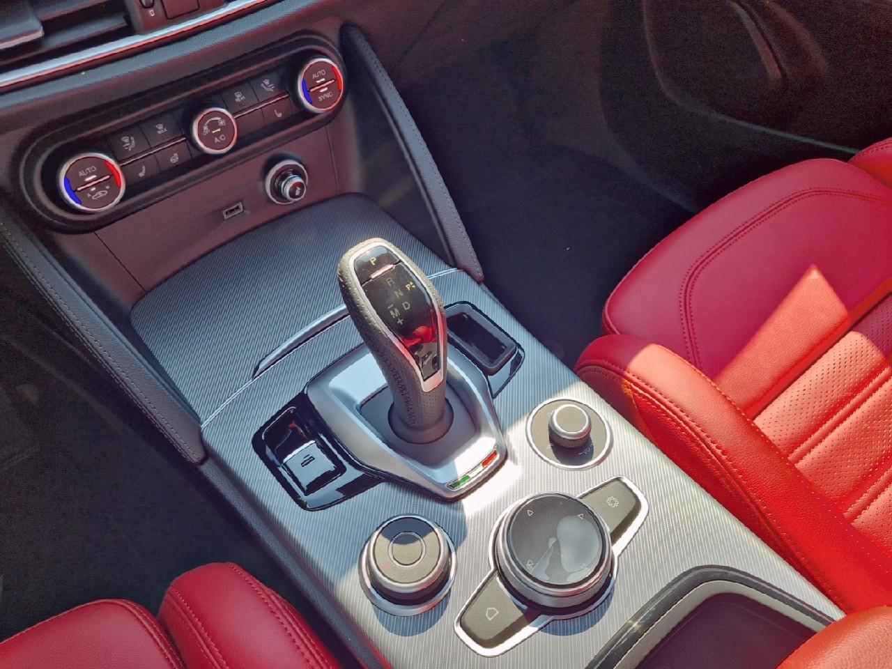 Alfa Romeo Alfa Romeo Stelvio usata 9