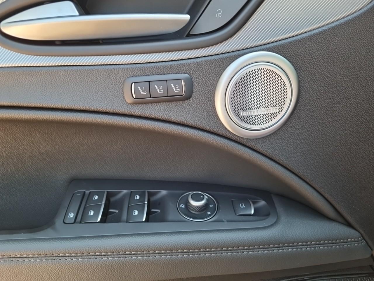 Alfa Romeo Alfa Romeo Stelvio usata 13