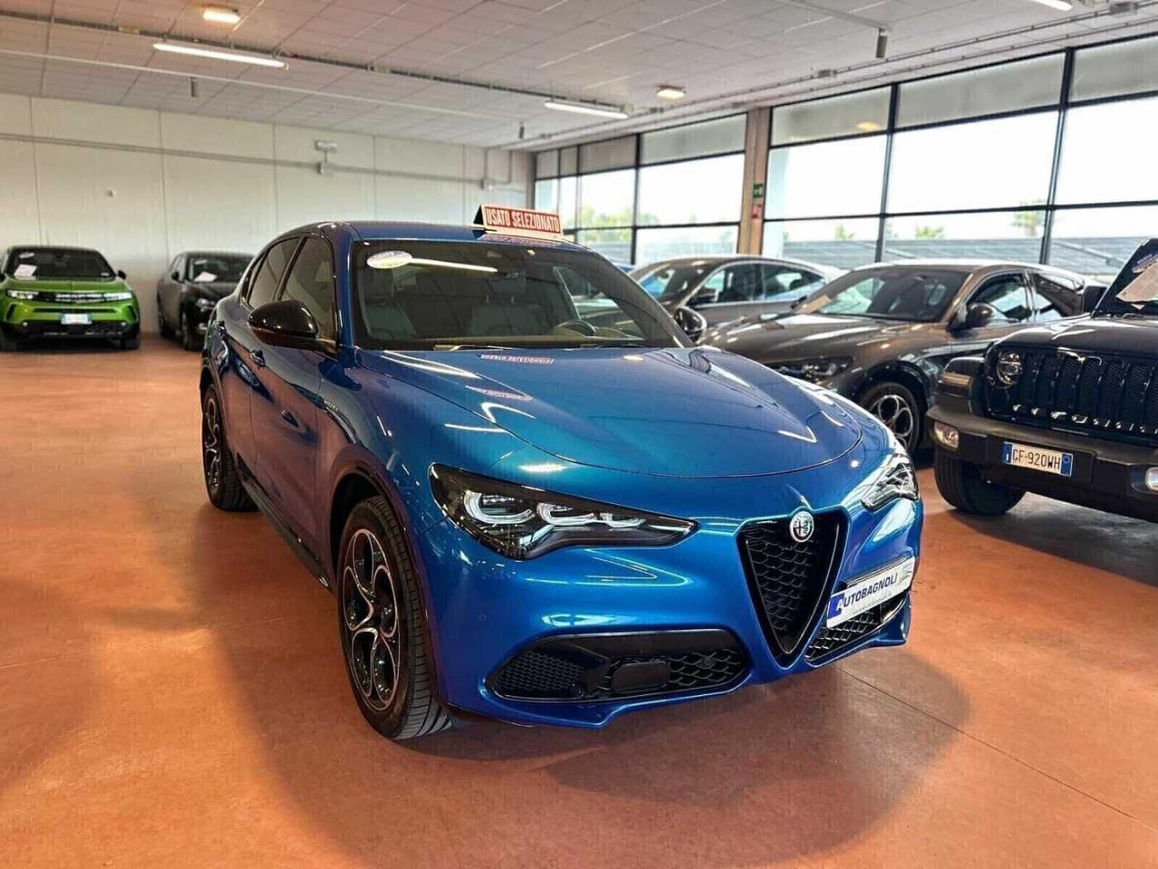 Alfa Romeo Alfa Romeo Stelvio usata 11