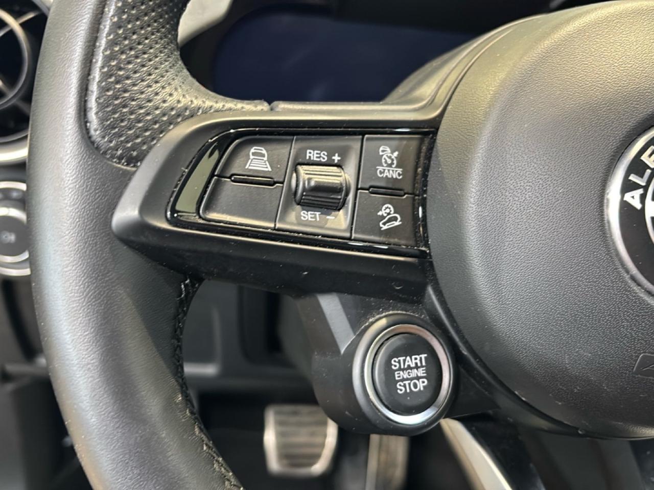 Alfa Romeo Alfa Romeo Stelvio usata 8