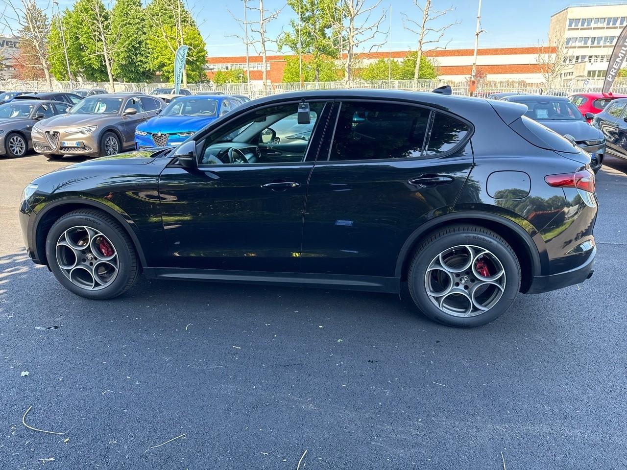 Alfa Romeo Alfa Romeo Stelvio usata 15