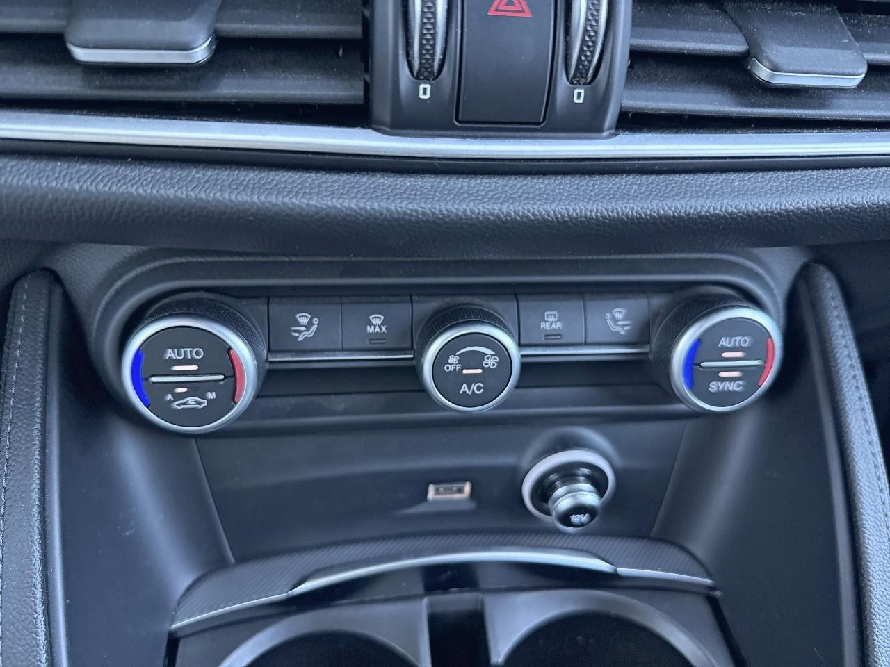 Alfa Romeo Alfa Romeo Stelvio usata 6