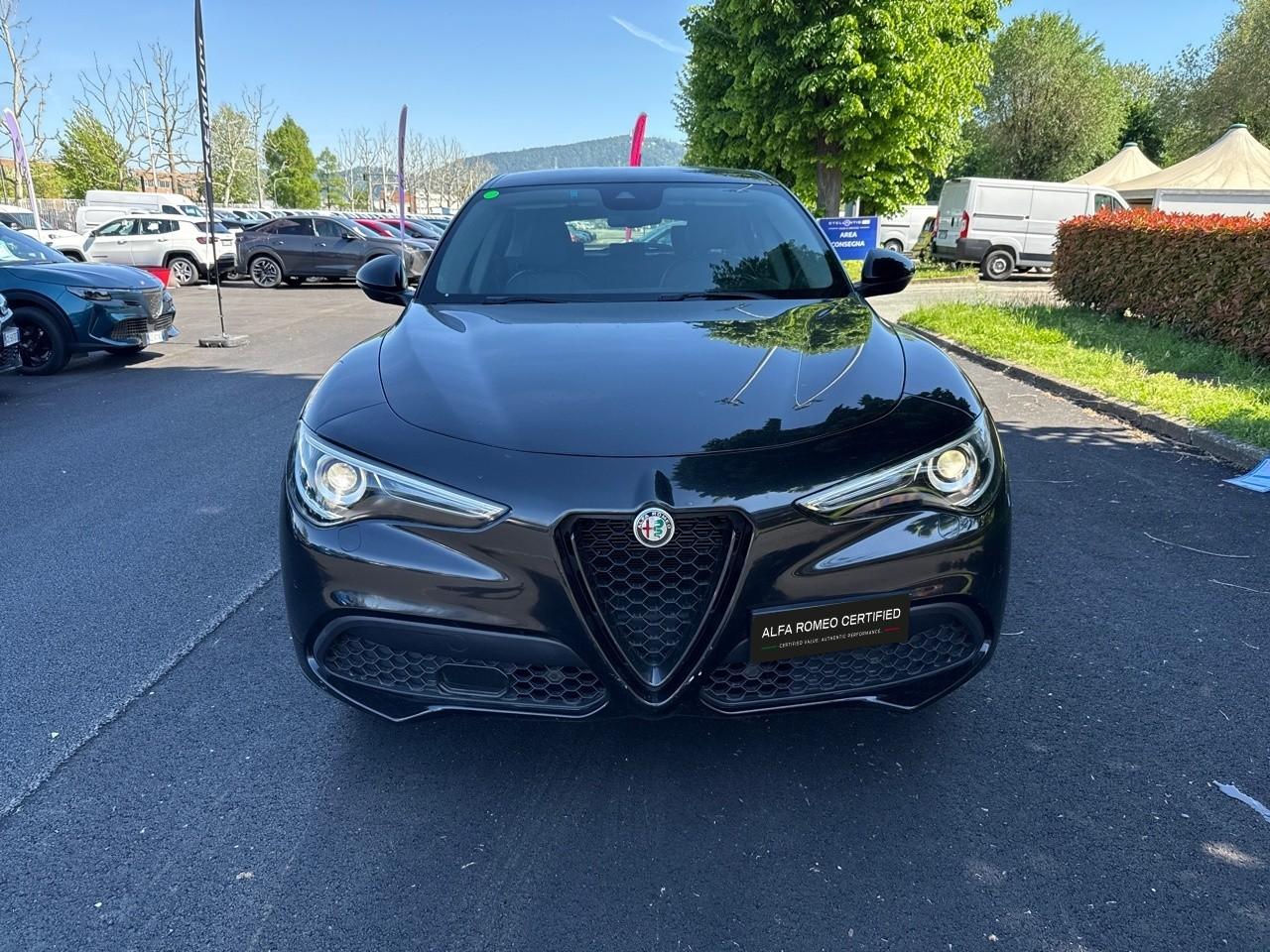 Alfa Romeo Alfa Romeo Stelvio usata 11