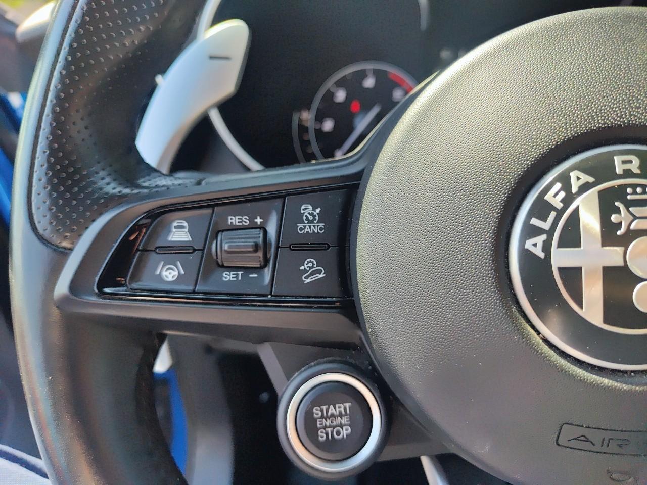 Alfa Romeo Alfa Romeo Stelvio usata 7