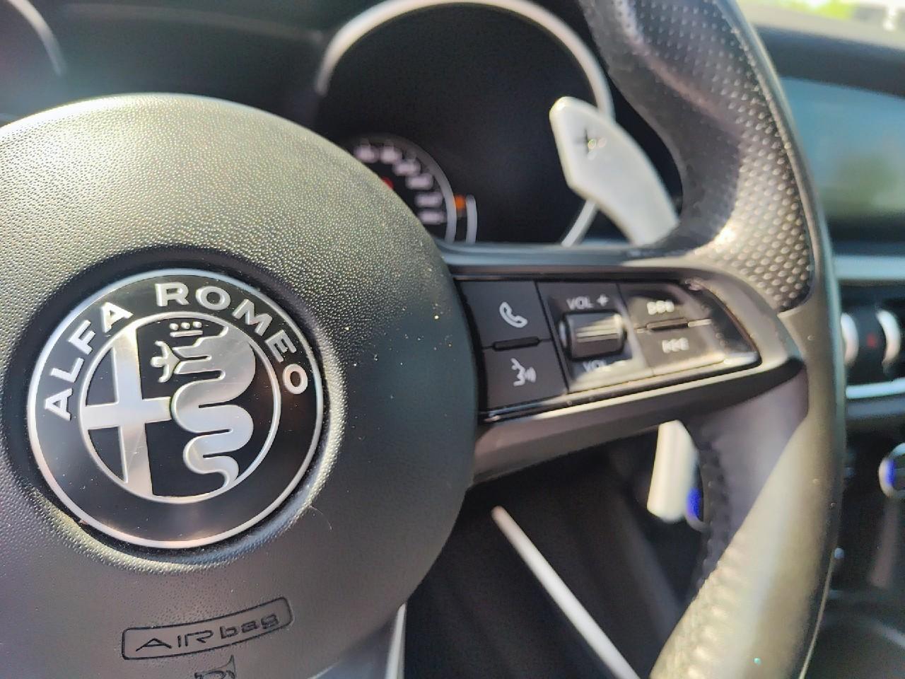 Alfa Romeo Alfa Romeo Stelvio usata 8