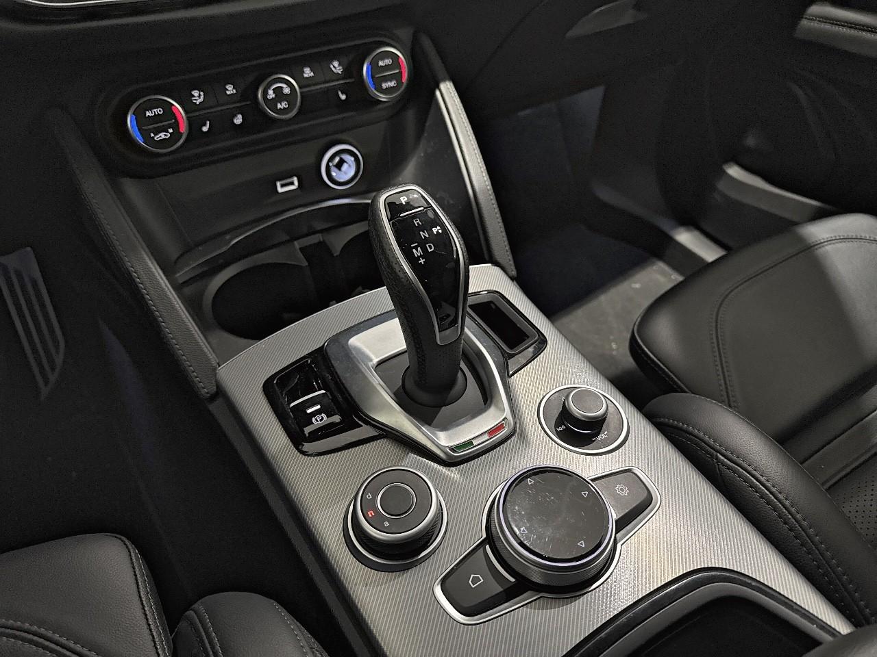 Alfa Romeo Alfa Romeo Stelvio usata 7