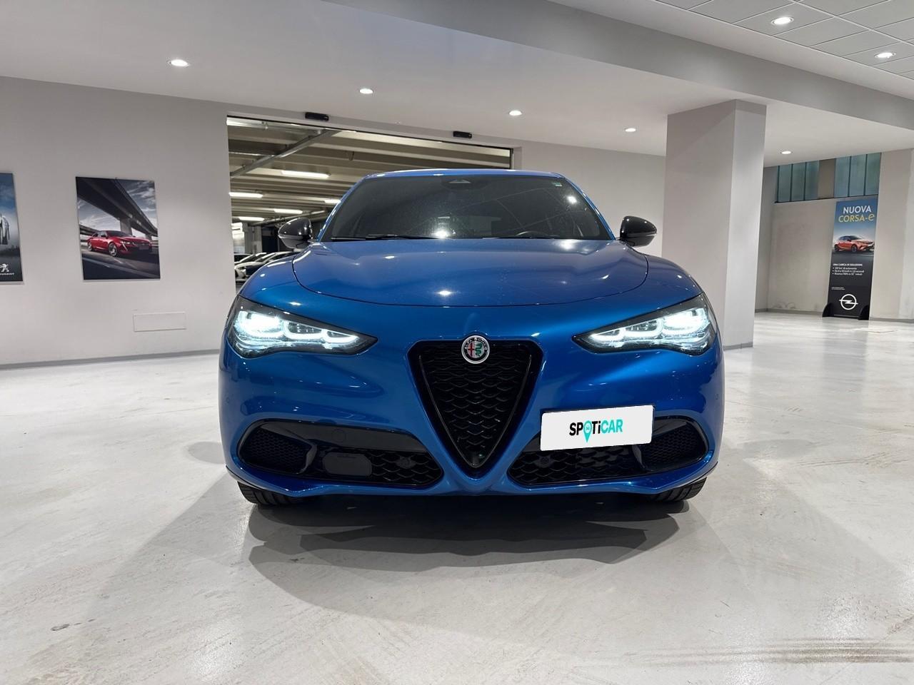 Alfa Romeo Alfa Romeo Stelvio usata 11