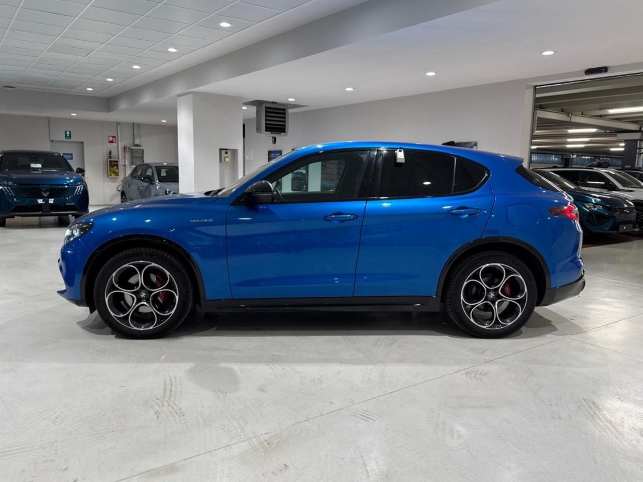 Alfa Romeo Alfa Romeo Stelvio usata 14