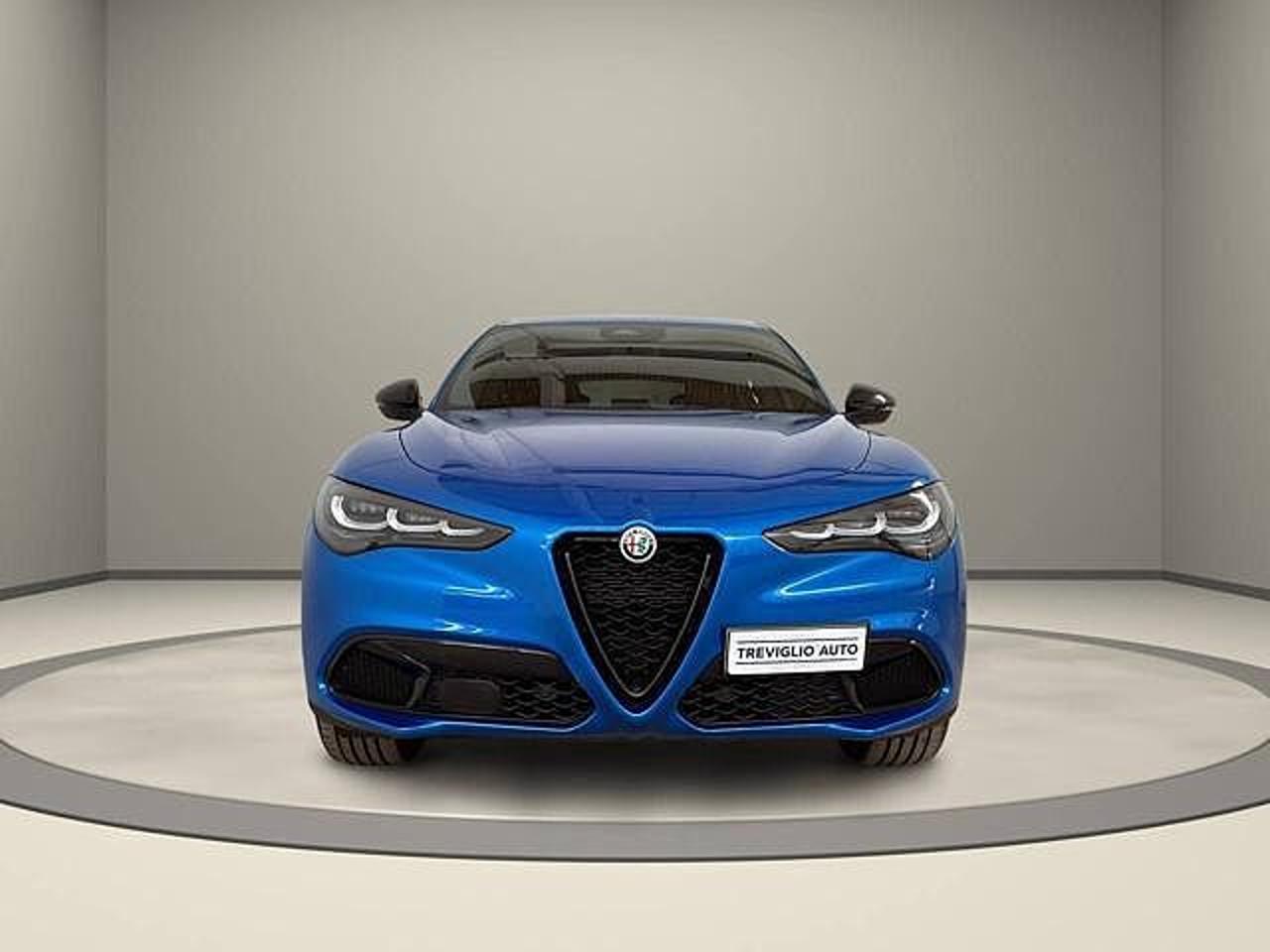 Alfa Romeo Alfa Romeo Stelvio usata 11
