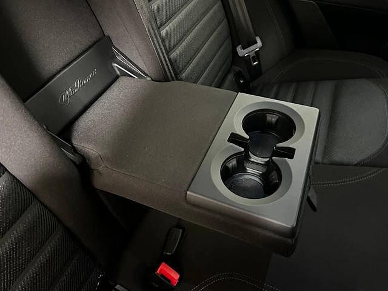 Alfa Romeo Alfa Romeo Stelvio usata 6
