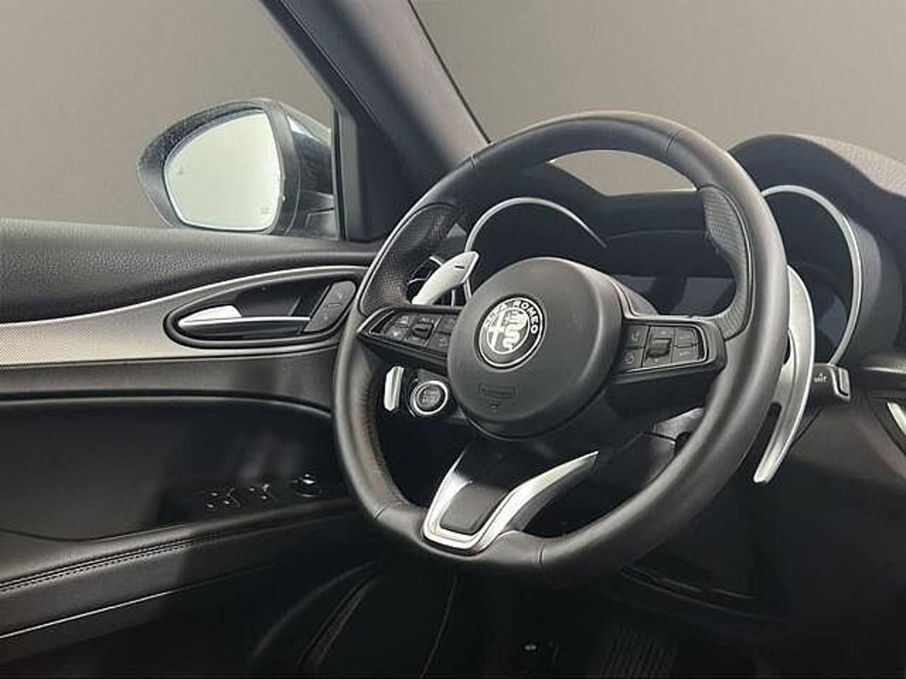 Alfa Romeo Alfa Romeo Stelvio usata 18