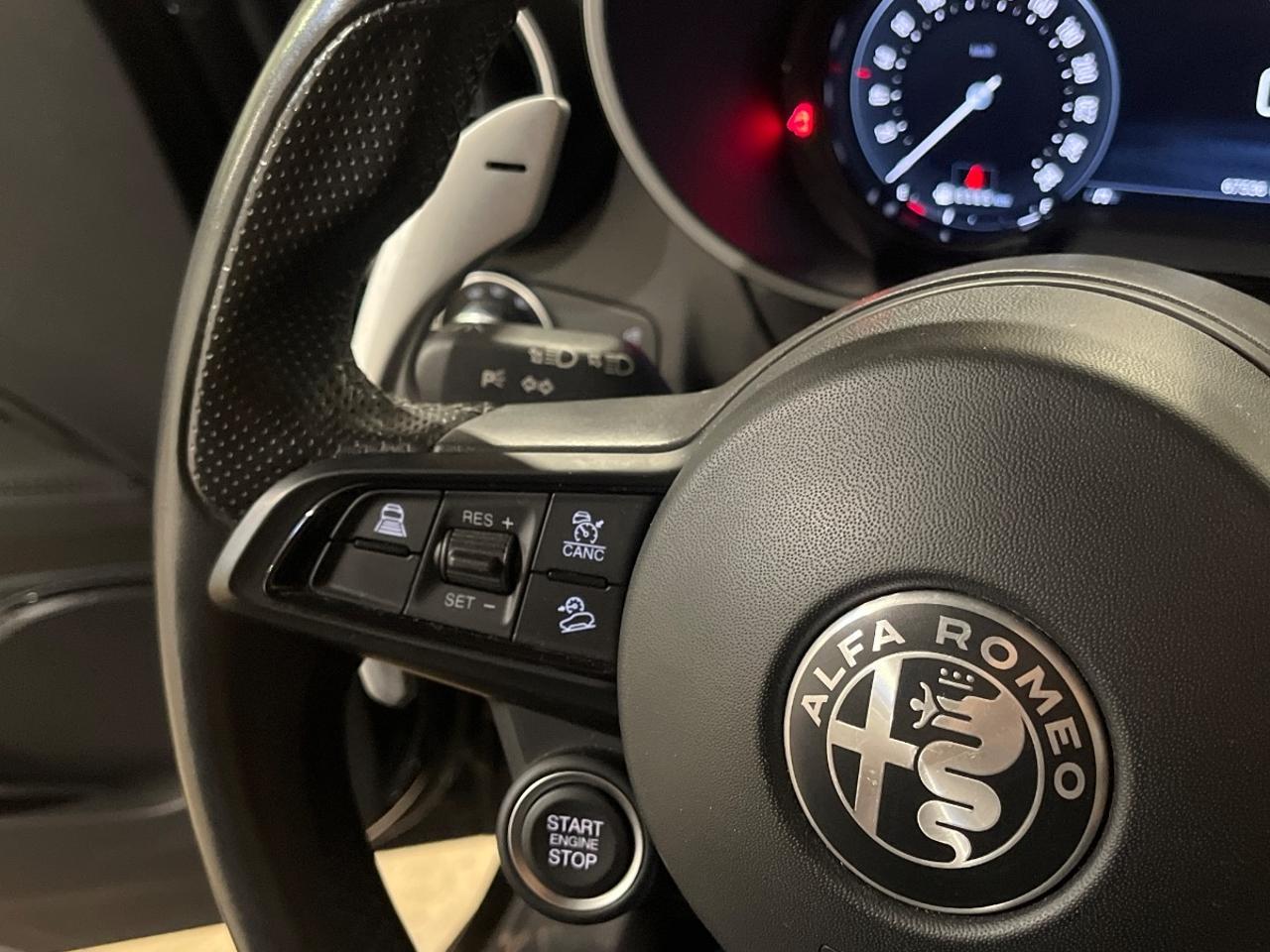 Alfa Romeo Alfa Romeo Stelvio usata 5