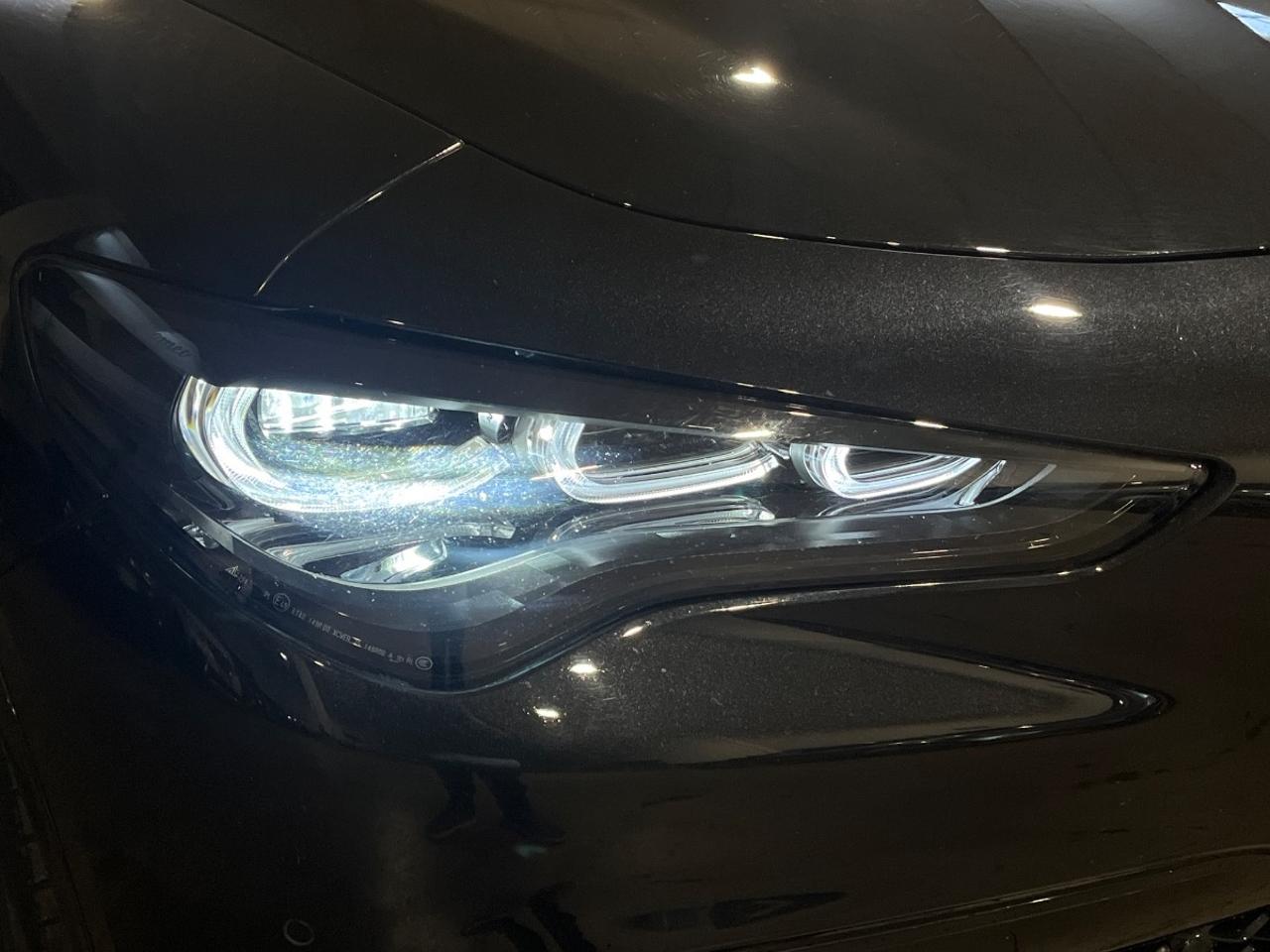 Alfa Romeo Alfa Romeo Stelvio usata 15