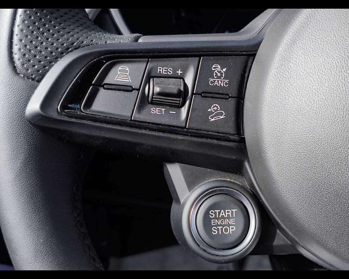 Alfa Romeo Alfa Romeo Stelvio usata 14