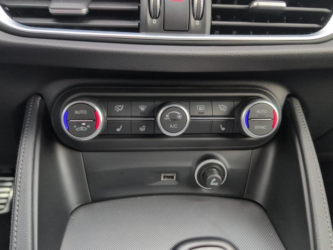 Alfa Romeo Alfa Romeo Stelvio usata 9
