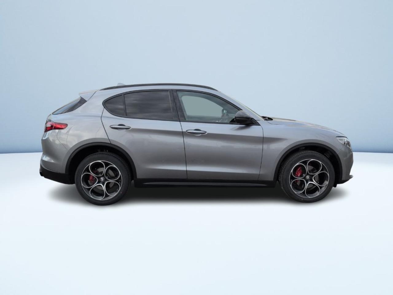 Alfa Romeo Alfa Romeo Stelvio usata 20