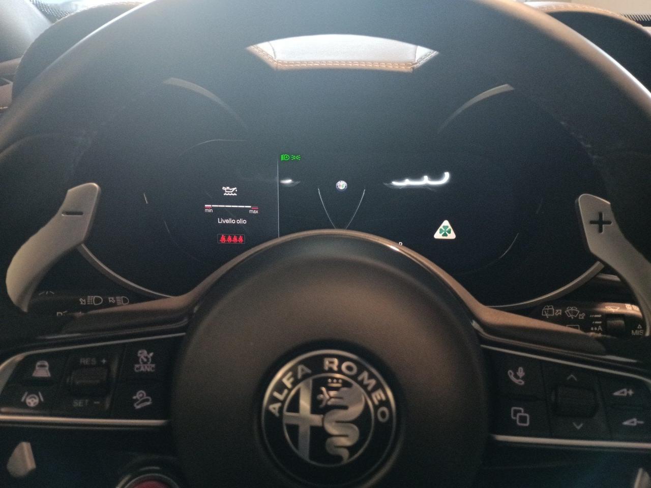 Alfa Romeo Alfa Romeo Stelvio usata 5