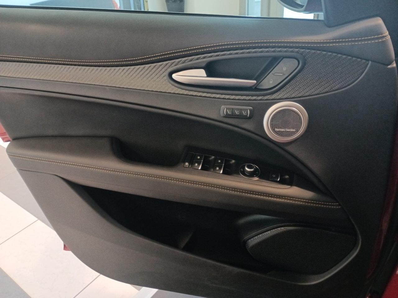 Alfa Romeo Alfa Romeo Stelvio usata 8