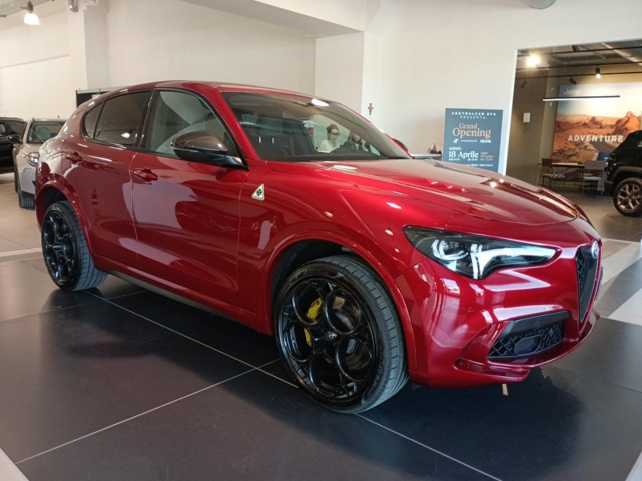 Alfa Romeo Alfa Romeo Stelvio usata 13