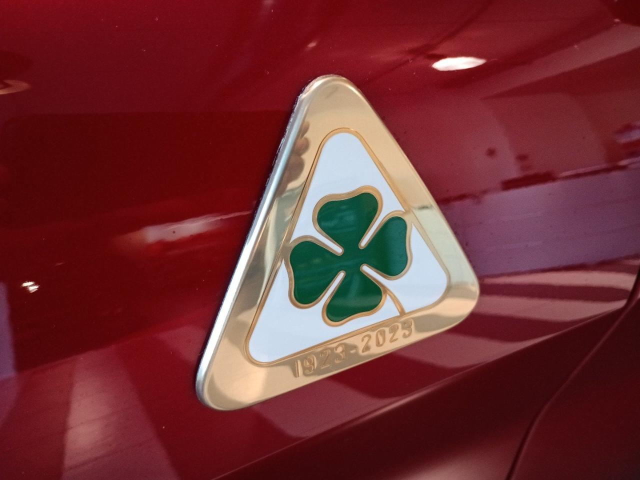 Alfa Romeo Alfa Romeo Stelvio usata 17