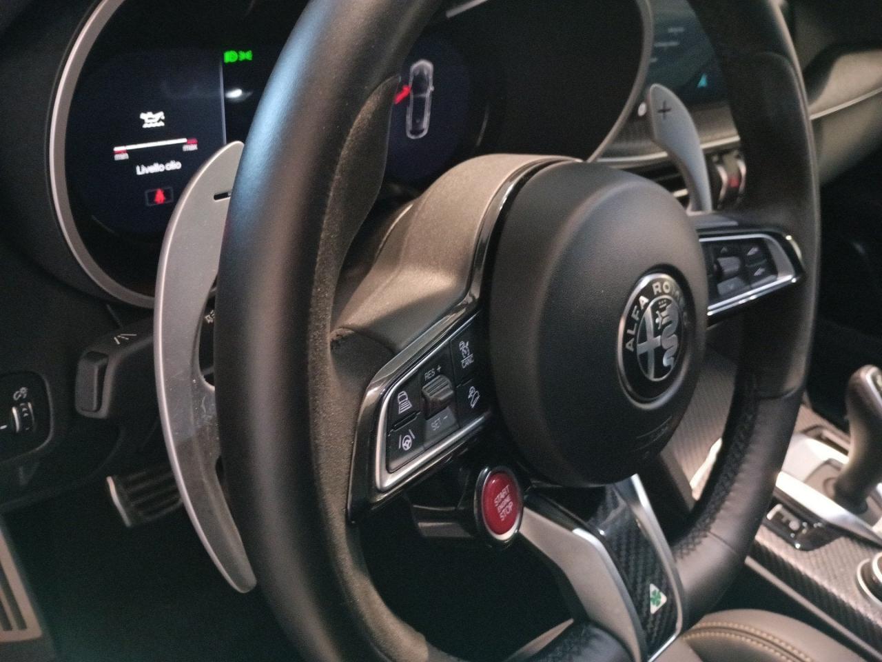 Alfa Romeo Alfa Romeo Stelvio usata 23