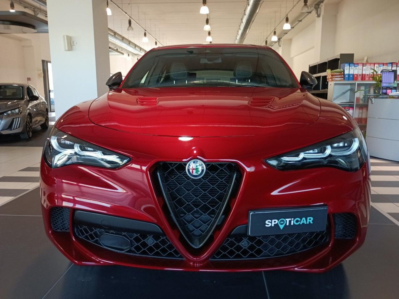 Alfa Romeo Alfa Romeo Stelvio usata 25