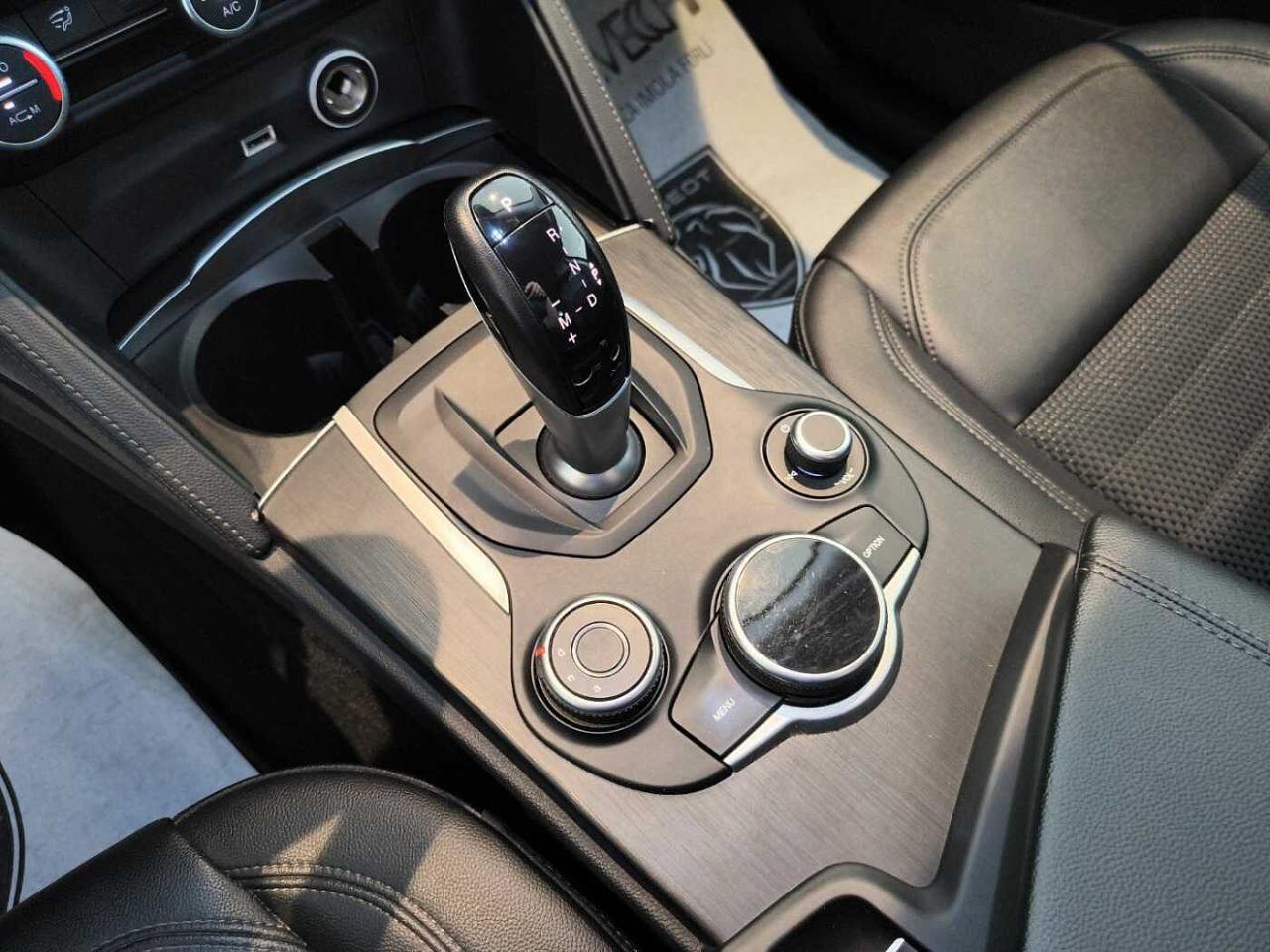 Alfa Romeo Alfa Romeo Stelvio usata 9