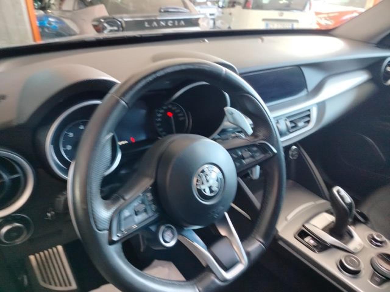 Alfa Romeo Alfa Romeo Stelvio usata 7