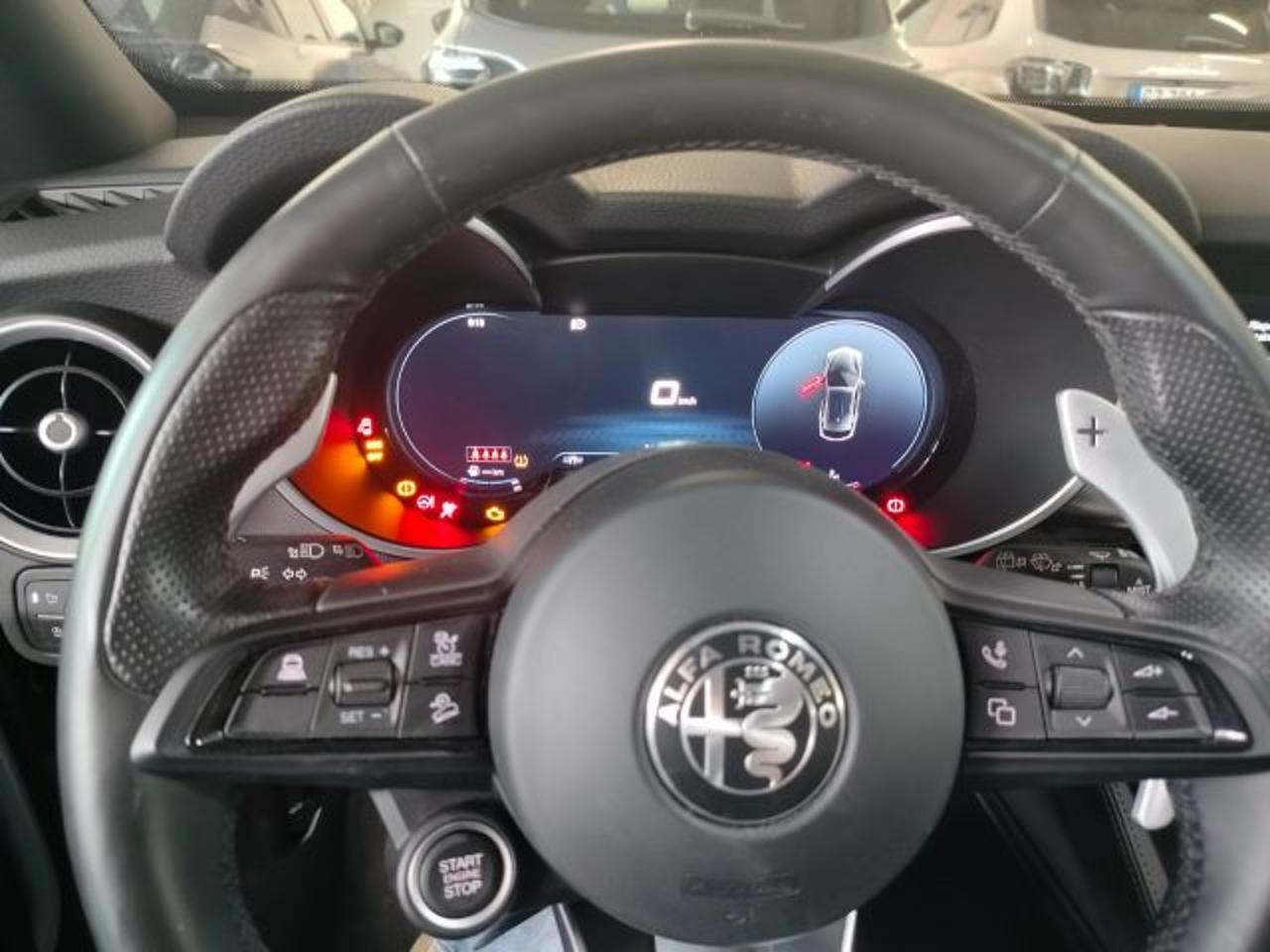 Alfa Romeo Alfa Romeo Stelvio usata 14