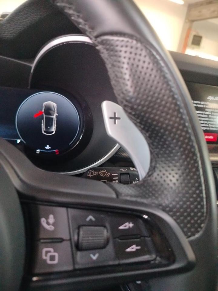 Alfa Romeo Alfa Romeo Stelvio usata 15