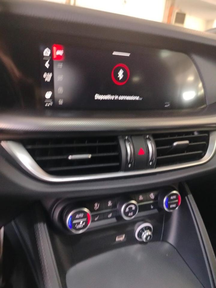 Alfa Romeo Alfa Romeo Stelvio usata 17