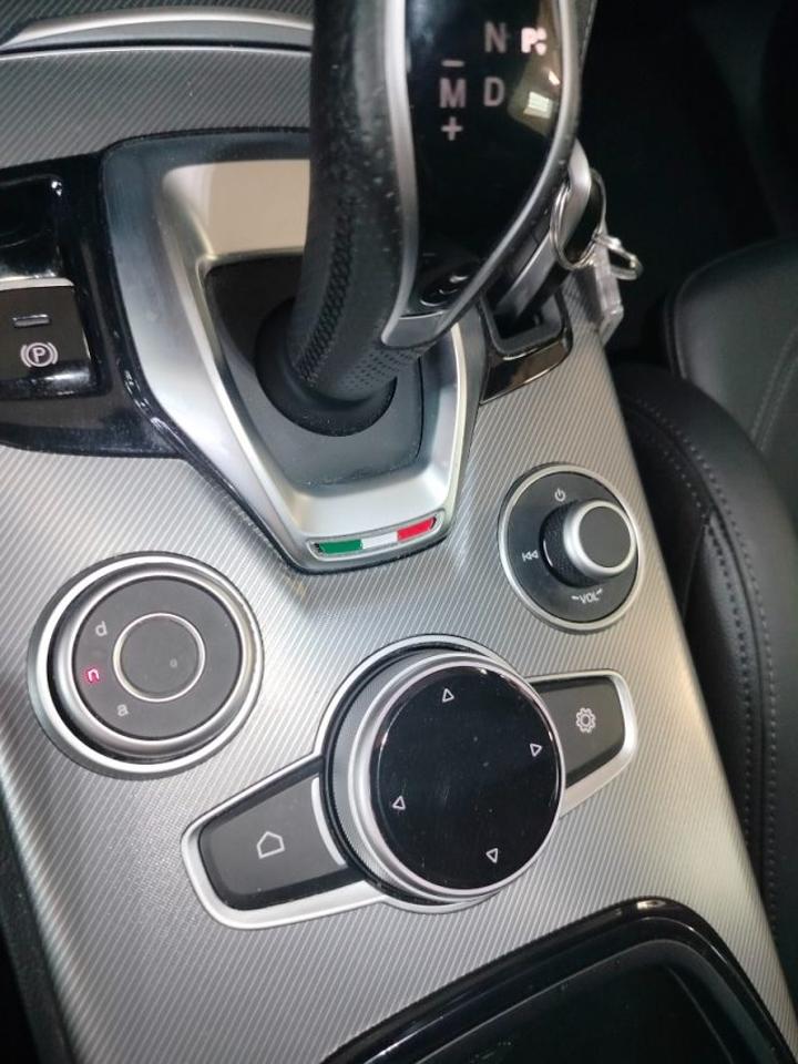 Alfa Romeo Alfa Romeo Stelvio usata 19