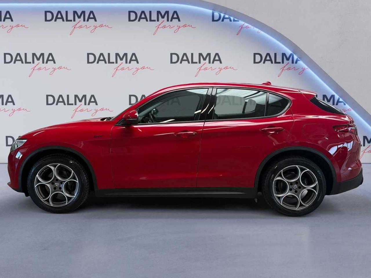 Alfa Romeo Alfa Romeo Stelvio usata 11