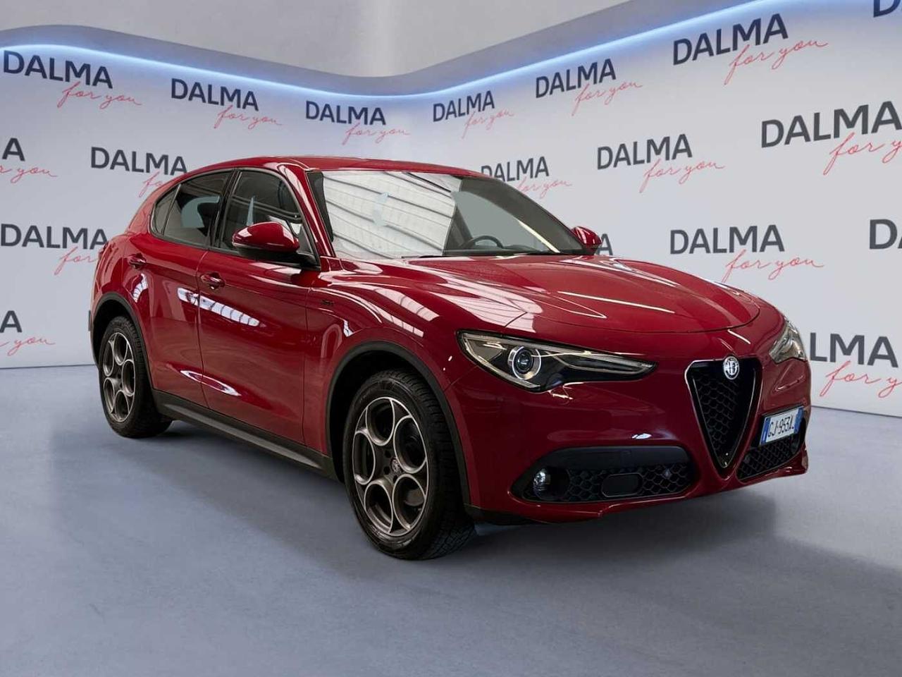 Alfa Romeo Alfa Romeo Stelvio usata 19