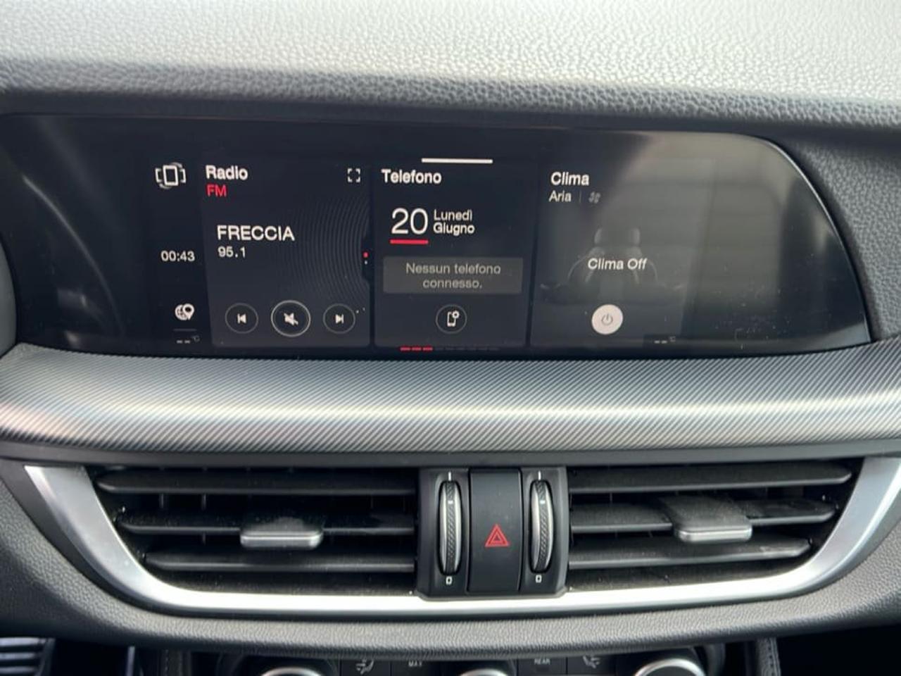 Alfa Romeo Alfa Romeo Stelvio usata 12