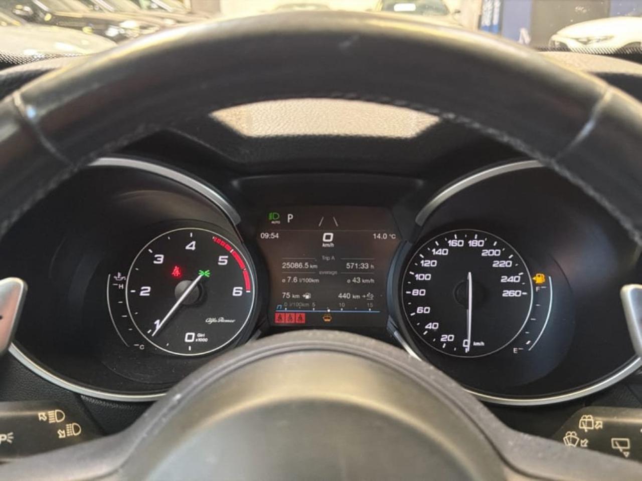 Alfa Romeo Alfa Romeo Stelvio usata 5