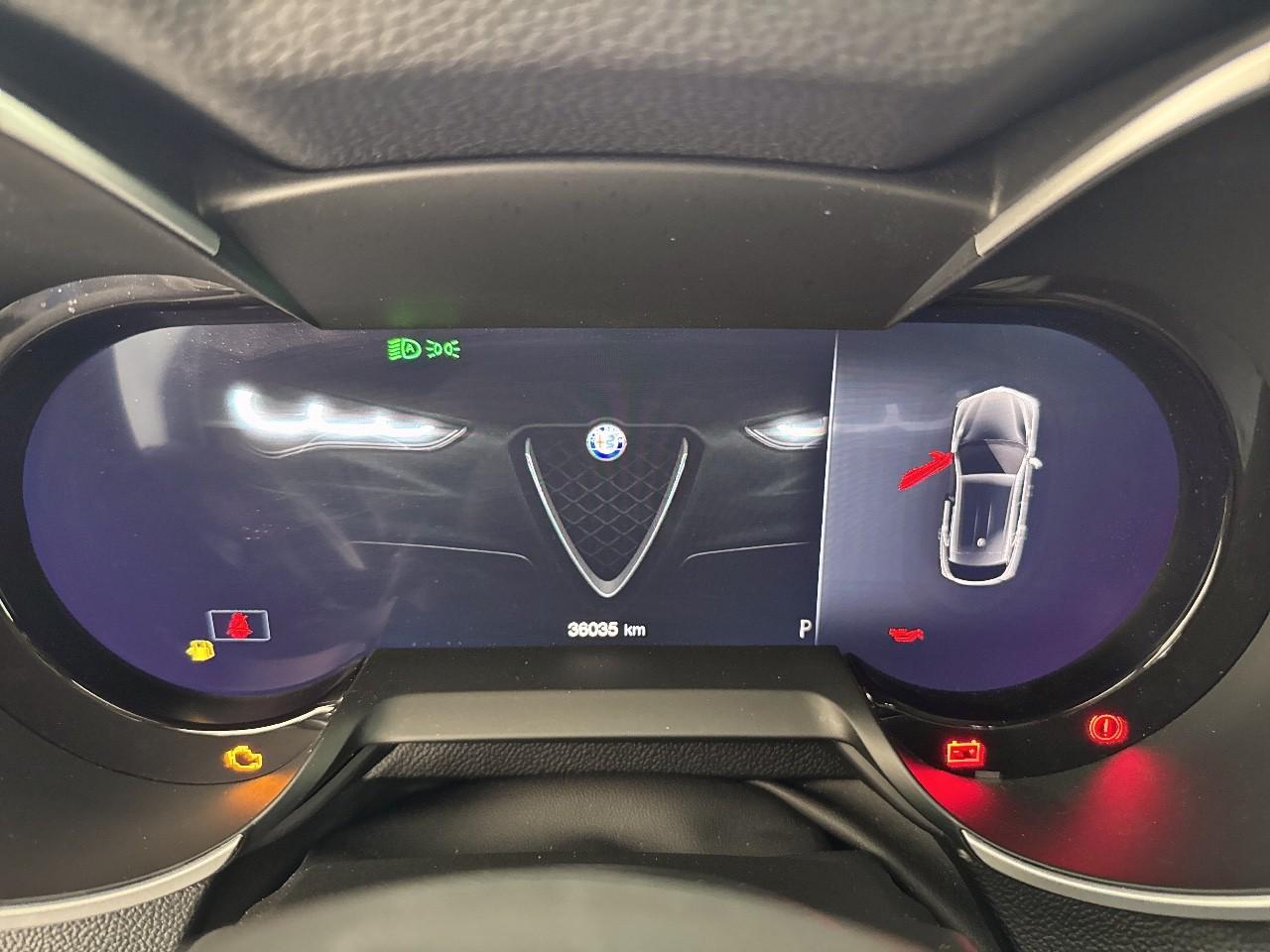 Alfa Romeo Alfa Romeo Stelvio usata 6