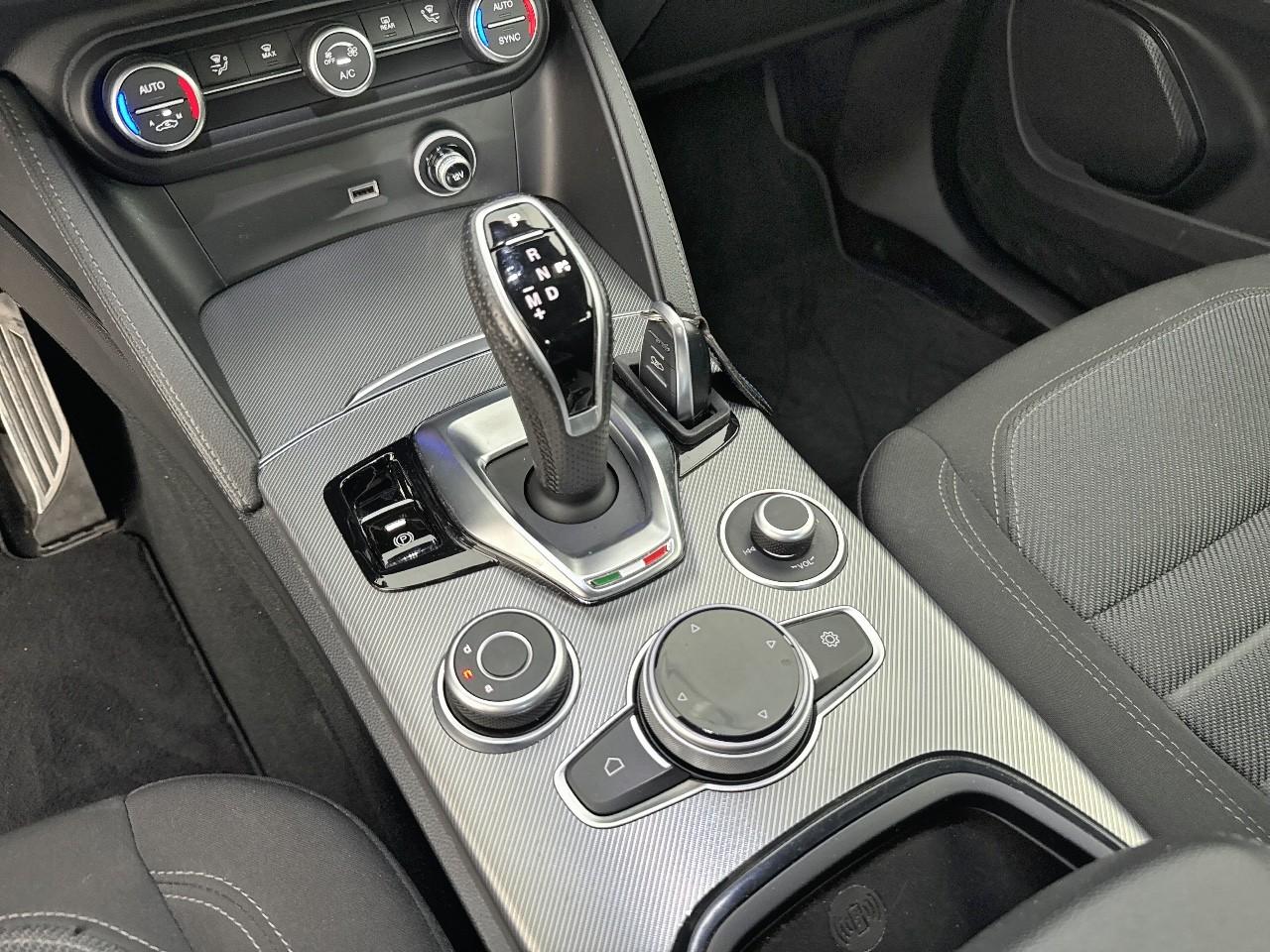Alfa Romeo Alfa Romeo Stelvio usata 9