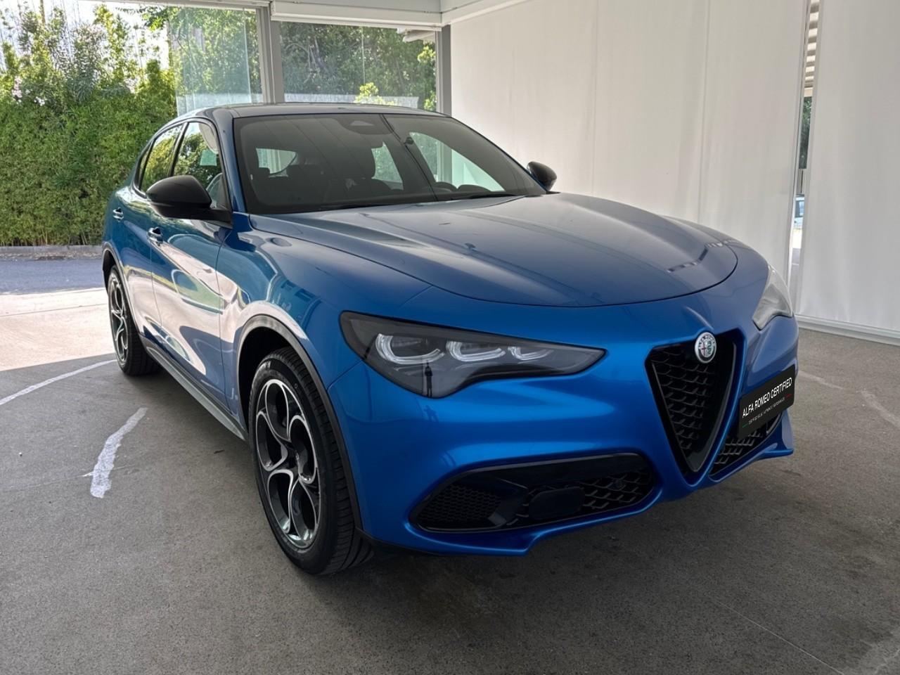 Alfa Romeo Alfa Romeo Stelvio usata 14