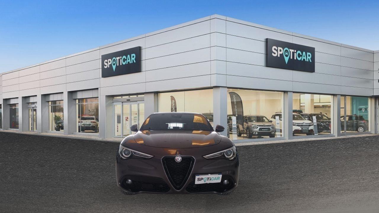 Alfa Romeo Alfa Romeo Stelvio usata 11