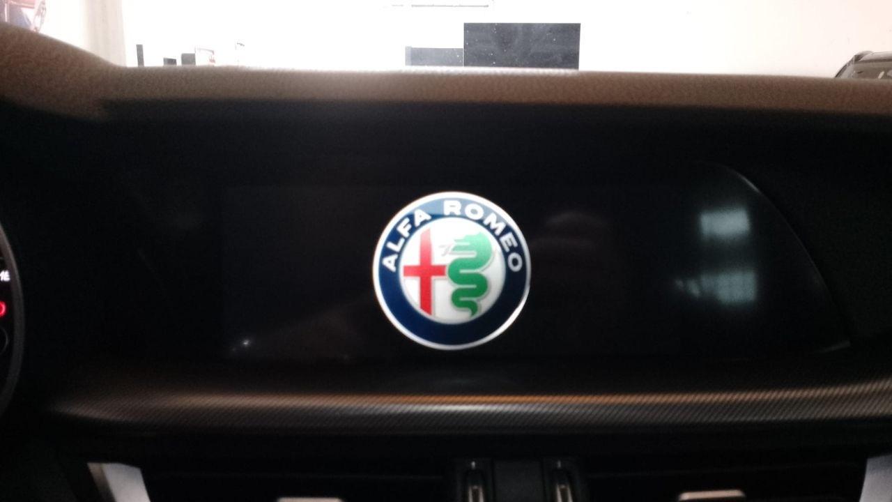 Alfa Romeo Alfa Romeo Stelvio usata 20