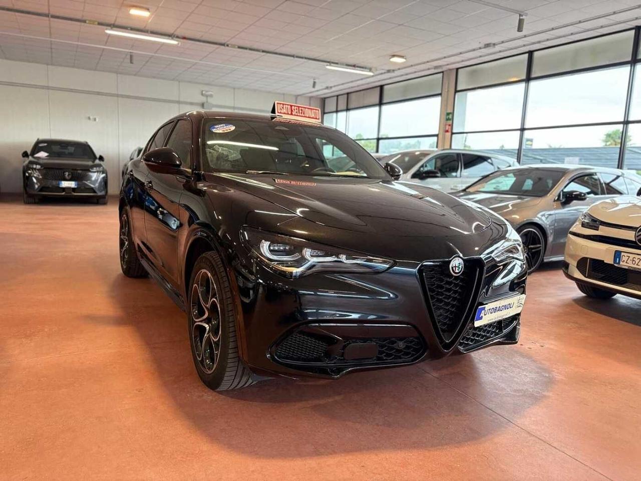 Alfa Romeo Alfa Romeo Stelvio usata 11