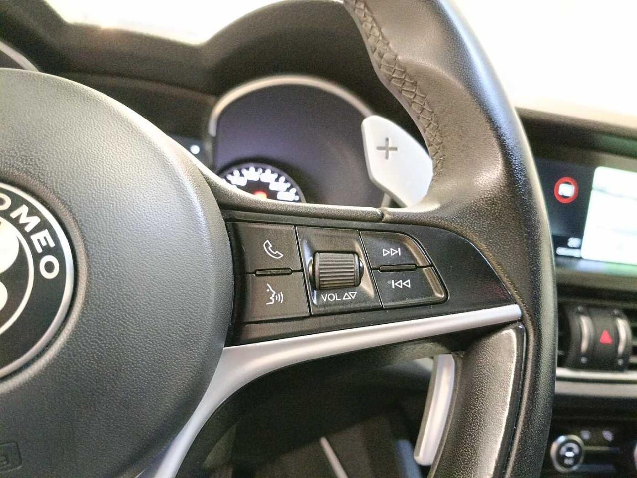 Alfa Romeo Alfa Romeo Stelvio usata 16