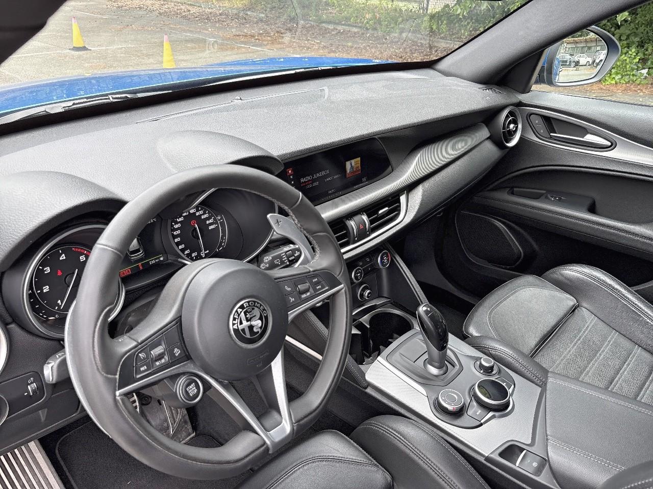 Alfa Romeo Alfa Romeo Stelvio usata 19