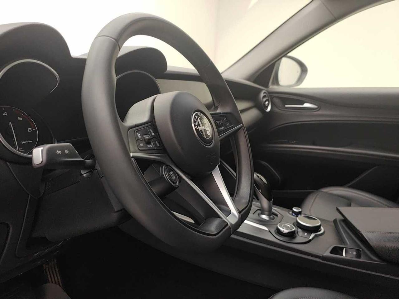 Alfa Romeo Alfa Romeo Stelvio usata 21