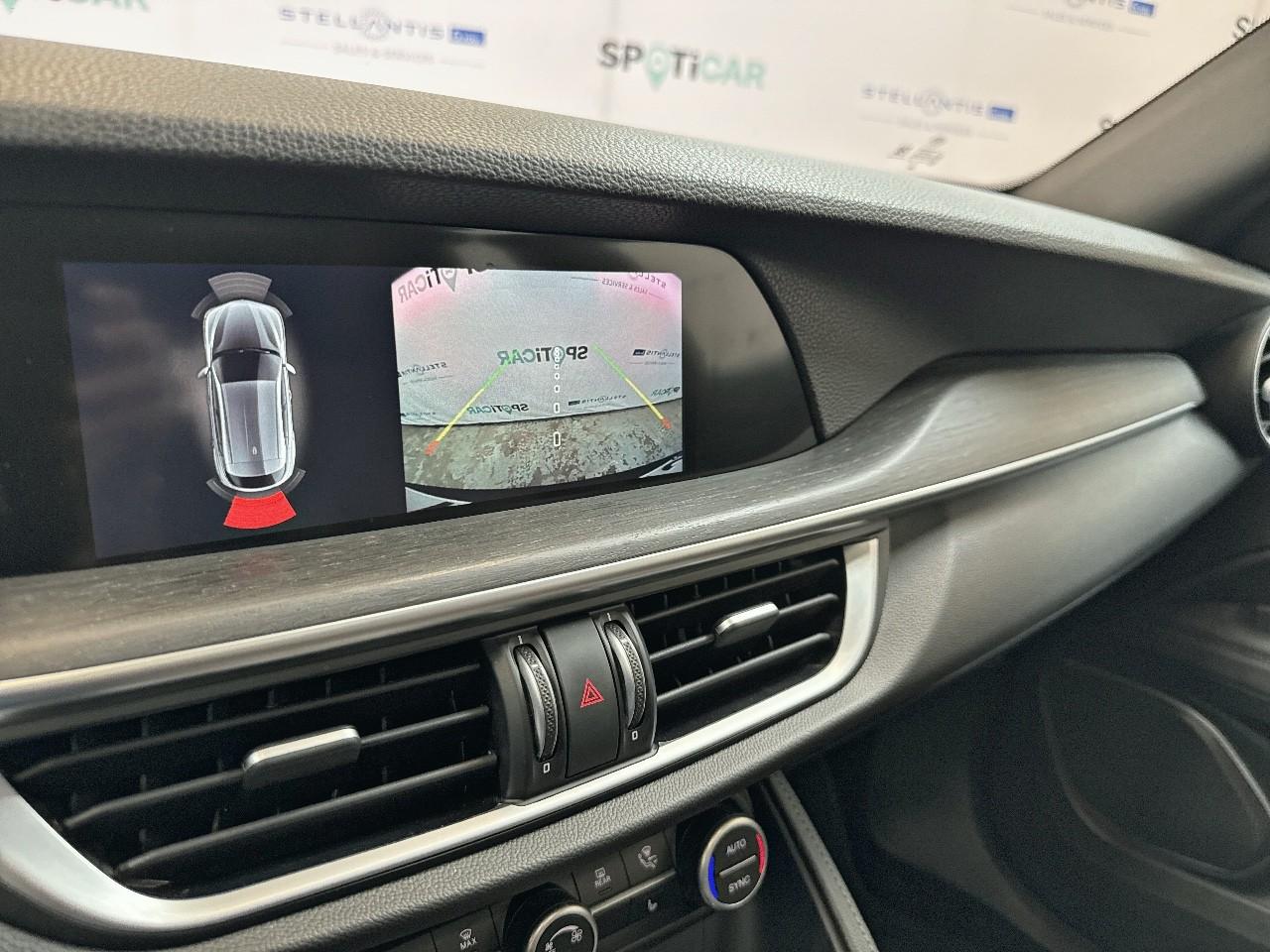 Alfa Romeo Alfa Romeo Stelvio usata 9
