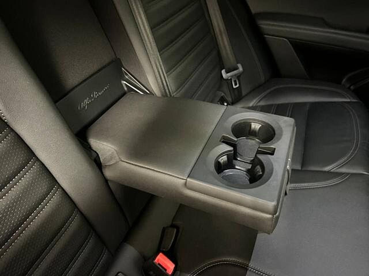 Alfa Romeo Alfa Romeo Stelvio usata 7