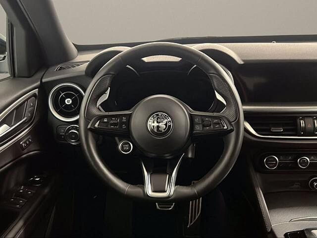 Alfa Romeo Alfa Romeo Stelvio usata 9