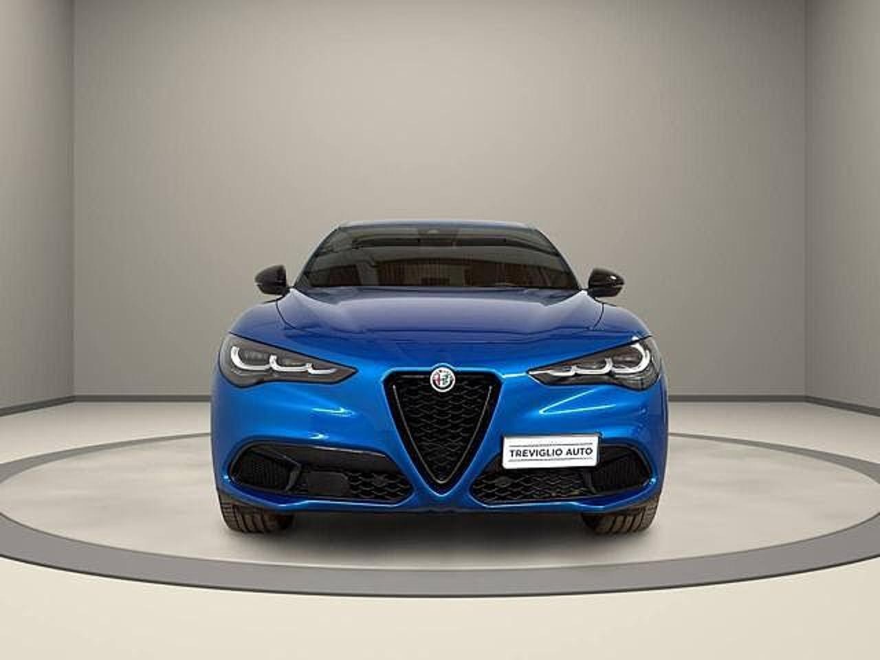 Alfa Romeo Alfa Romeo Stelvio usata 11