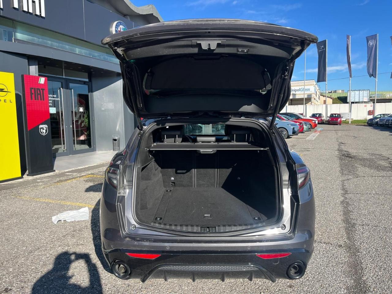 Alfa Romeo Alfa Romeo Stelvio usata 1